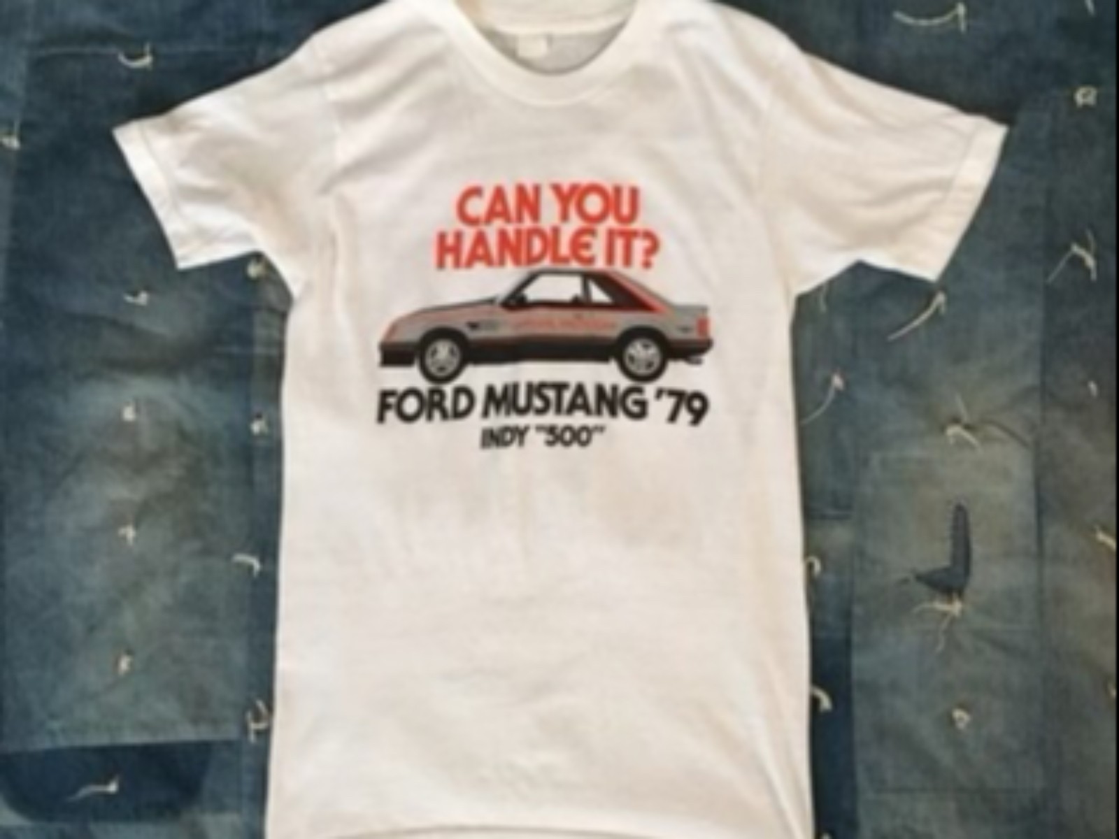 1979 Ford Mustang 344