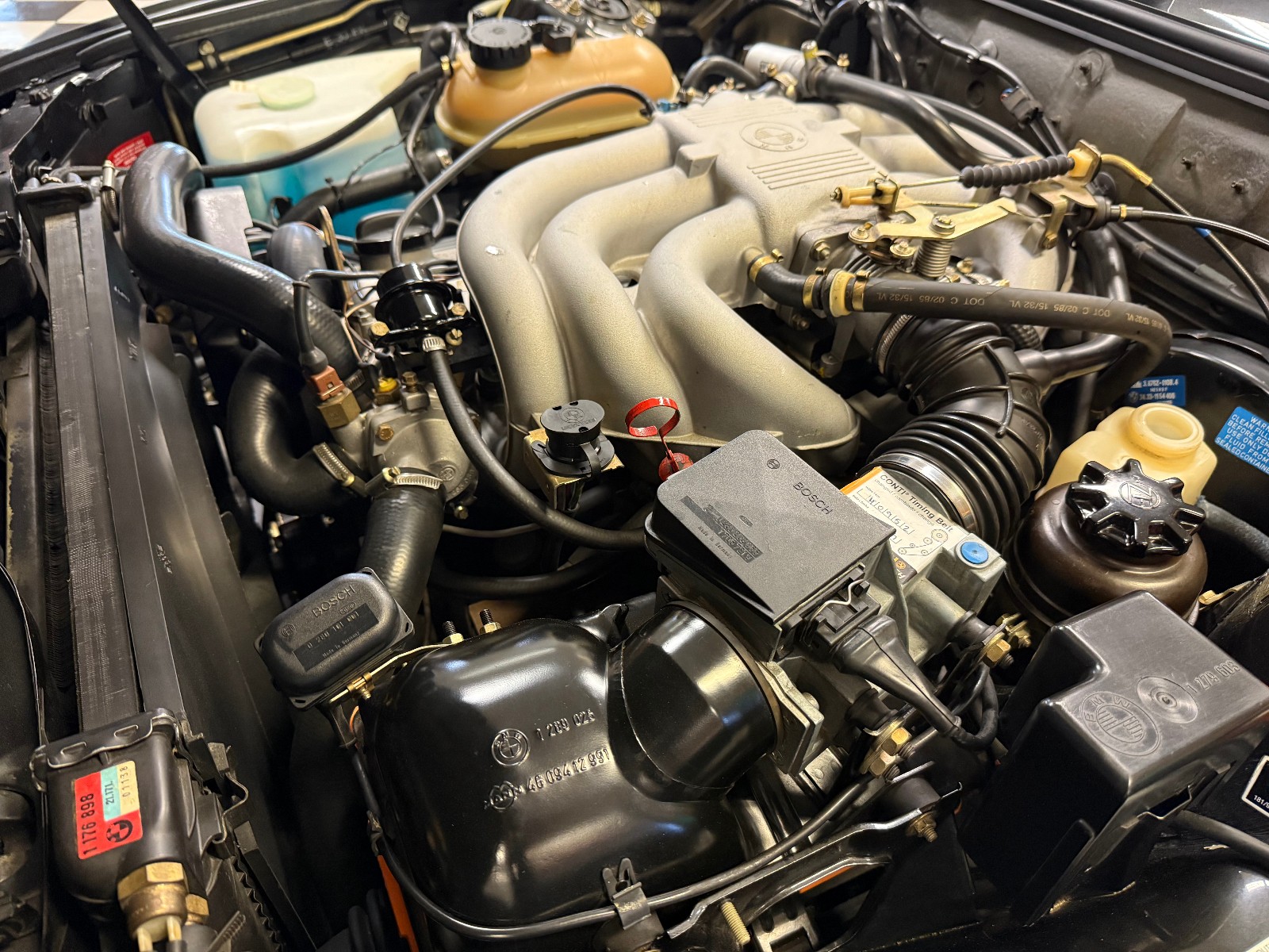 1986 BMW 325e 1555