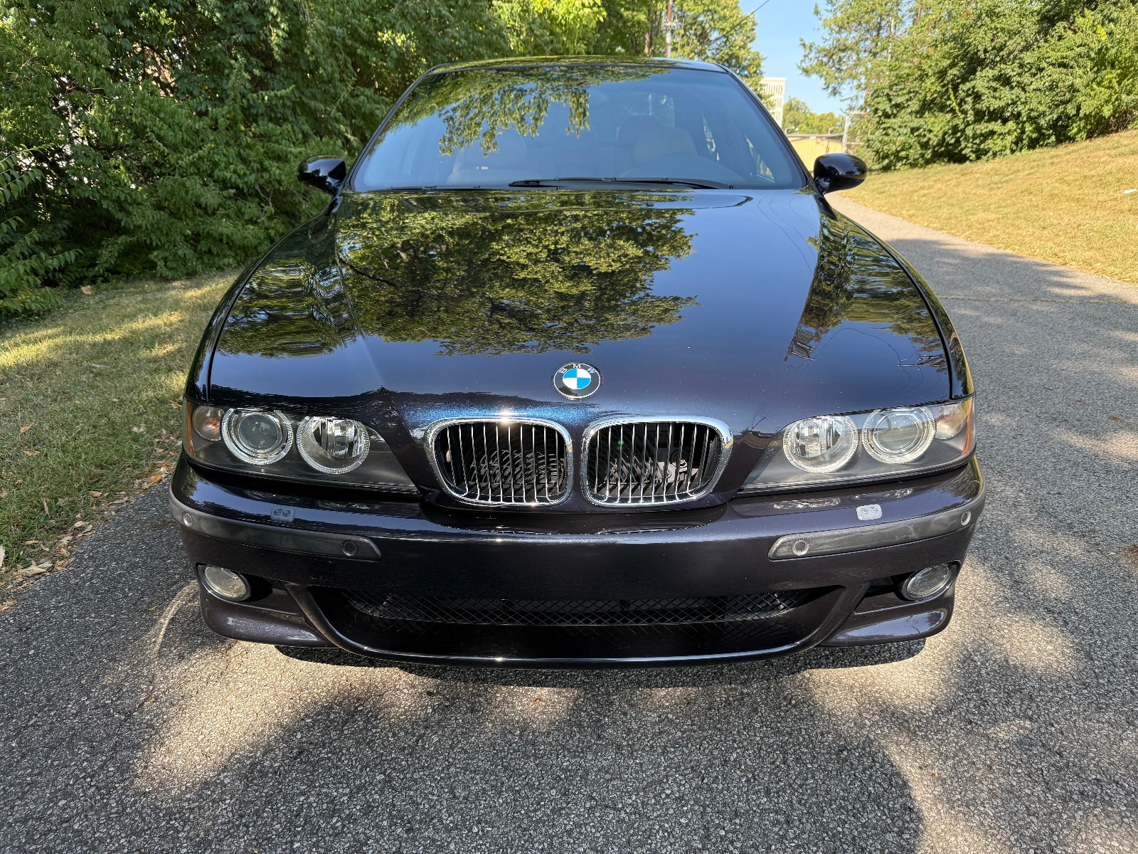 2003 BMW M5 1610