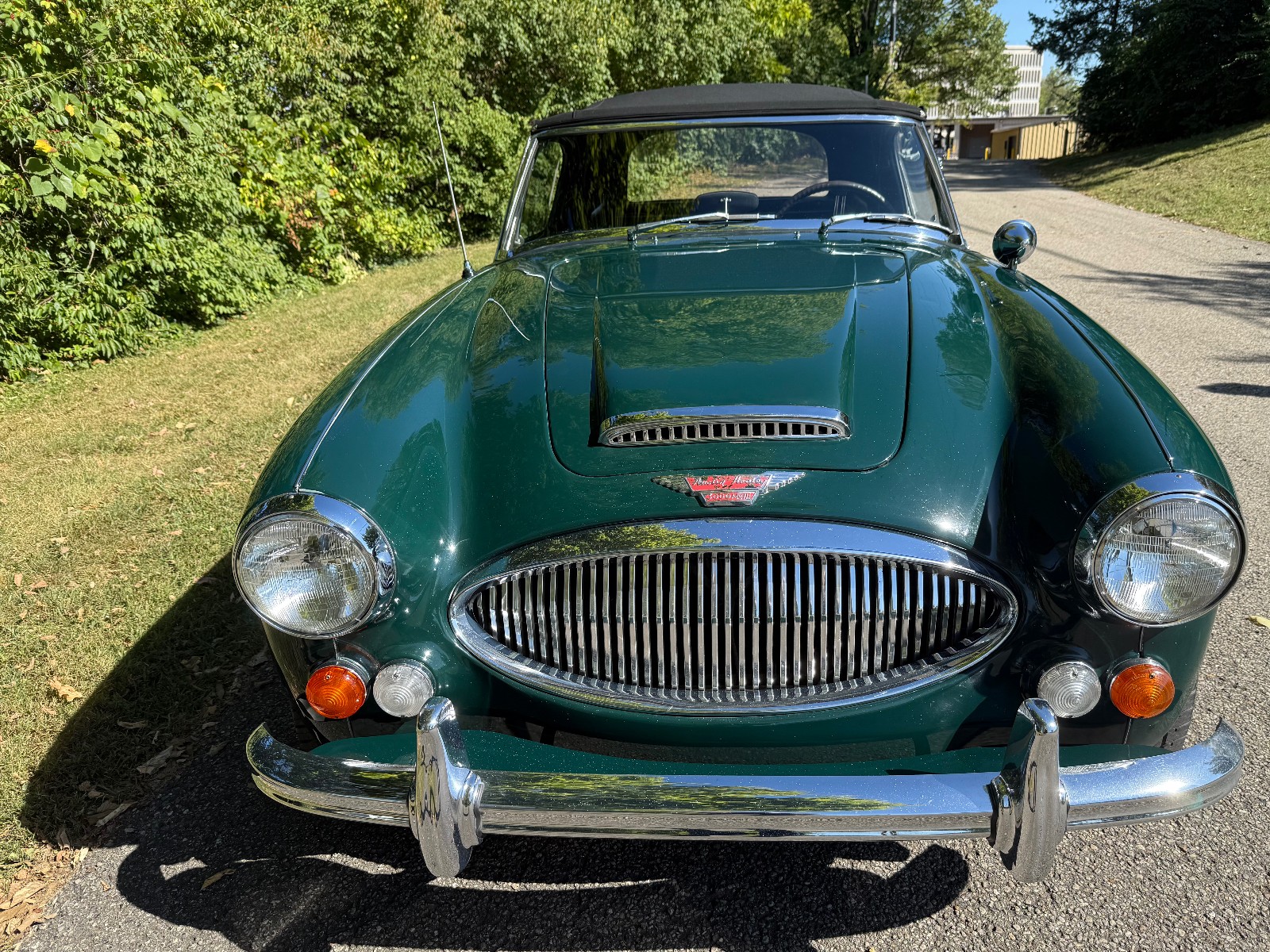 1967 Austin Healey 3000 1653
