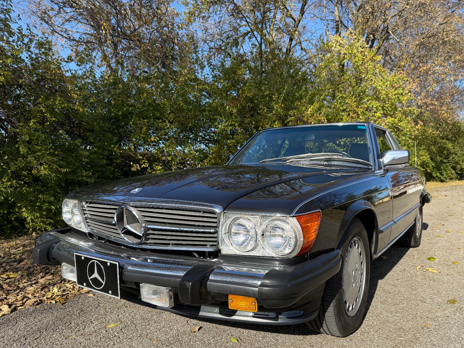1989 Mercedes Benz 560SL 1736