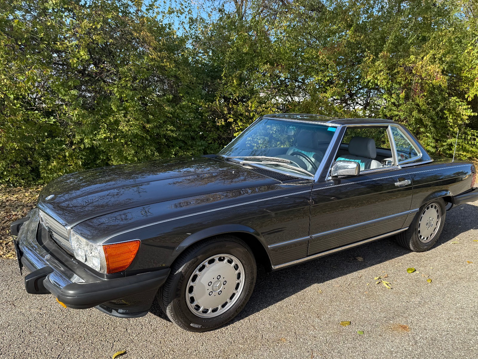 1989 Mercedes Benz 560SL 1737